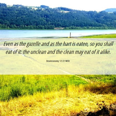 Picture 06 - Deuteronomy 12:22 WEB - Even as the gazelle and as the hart is eaten, so - Bible Verse Picture