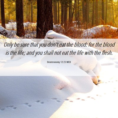 Picture 06 - Deuteronomy 12:23 WEB - Only be sure that you don't eat the blood: for - Bible Verse Picture