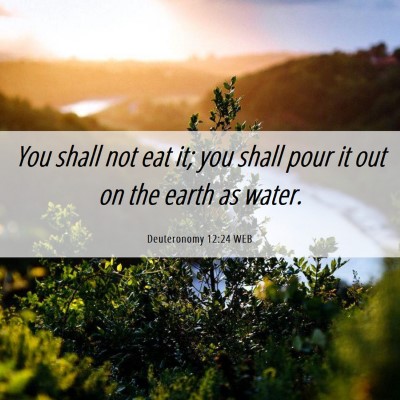 Picture 06 - Deuteronomy 12:24 WEB - You shall not eat it; you shall pour it out on - Bible Verse Picture