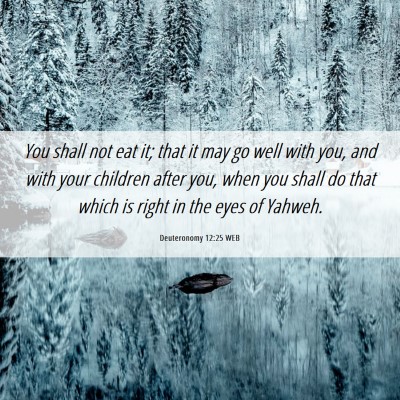 Picture 06 - Deuteronomy 12:25 WEB - You shall not eat it; that it may go well with - Bible Verse Picture