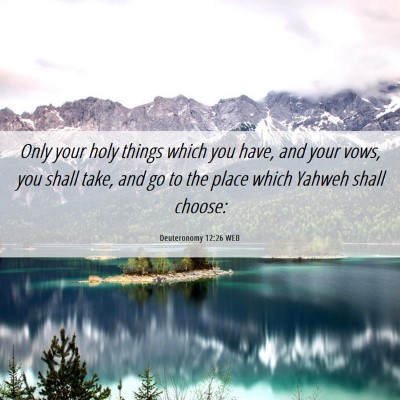 Picture 06 - Deuteronomy 12:26 WEB - Only your holy things which you have, and your - Bible Verse Picture