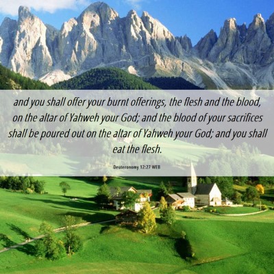 Picture 06 - Deuteronomy 12:27 WEB - and you shall offer your burnt offerings, the - Bible Verse Picture