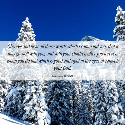 Picture 06 - Deuteronomy 12:28 WEB - Observe and hear all these words which I command - Bible Verse Picture
