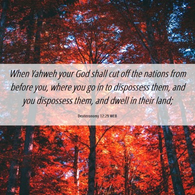 Picture 06 - Deuteronomy 12:29 WEB - When Yahweh your God shall cut off the nations - Bible Verse Picture