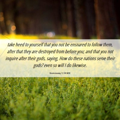 Picture 06 - Deuteronomy 12:30 WEB - take heed to yourself that you not be ensnared to - Bible Verse Picture