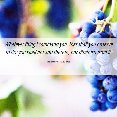 Picture 06 - Deuteronomy 12:32 WEB - Whatever thing I command you, that shall you - Bible Verse Picture