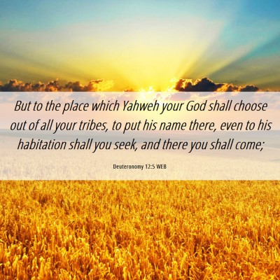 Picture 06 - Deuteronomy 12:5 WEB - But to the place which Yahweh your God shall - Bible Verse Picture