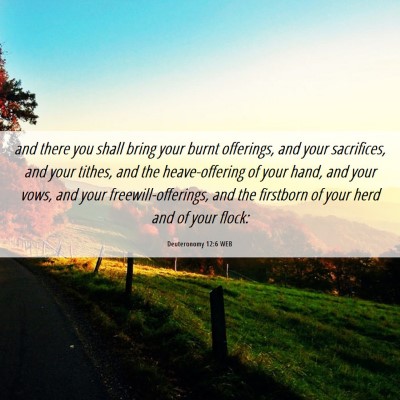 Picture 06 - Deuteronomy 12:6 WEB - and there you shall bring your burnt offerings, - Bible Verse Picture