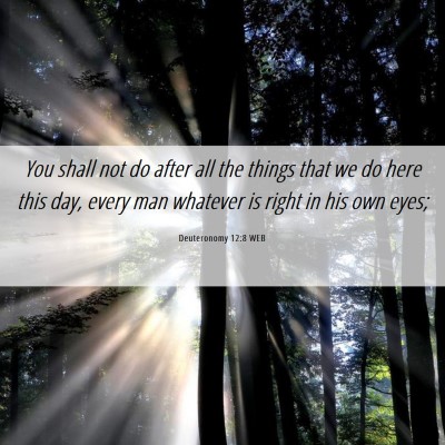 Picture 06 - Deuteronomy 12:8 WEB - You shall not do after all the things that we do - Bible Verse Picture