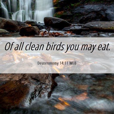 Picture 06 - Deuteronomy 14:11 WEB - Of all clean birds you may - Bible Verse Picture