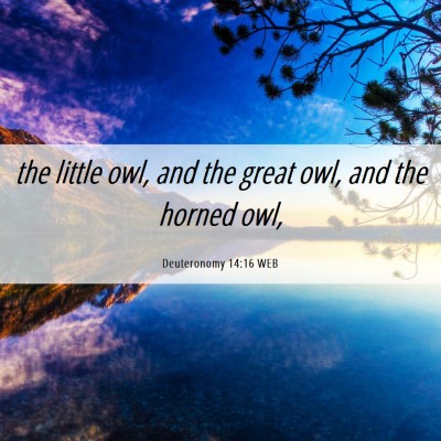 Picture 06 - Deuteronomy 14:16 WEB - the little owl, and the great owl, and the horned - Bible Verse Picture