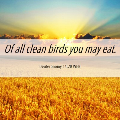 Picture 06 - Deuteronomy 14:20 WEB - Of all clean birds you may - Bible Verse Picture