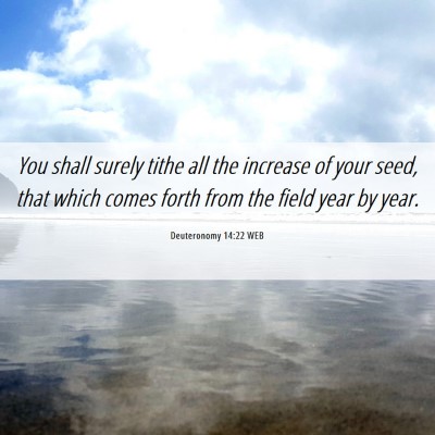 Picture 06 - Deuteronomy 14:22 WEB - You shall surely tithe all the increase of your - Bible Verse Picture