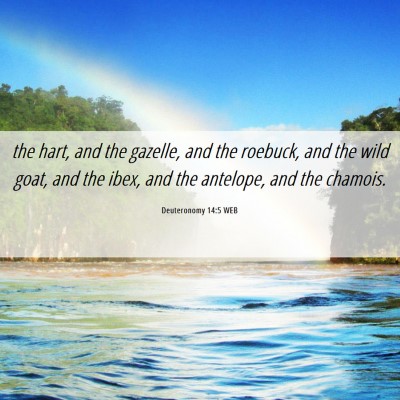 Picture 06 - Deuteronomy 14:5 WEB - the hart, and the gazelle, and the roebuck, and - Bible Verse Picture