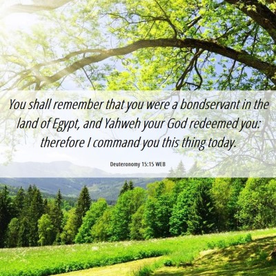Picture 06 - Deuteronomy 15:15 WEB - You shall remember that you were a bondservant in - Bible Verse Picture
