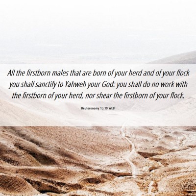 Picture 06 - Deuteronomy 15:19 WEB - All the firstborn males that are born of your - Bible Verse Picture