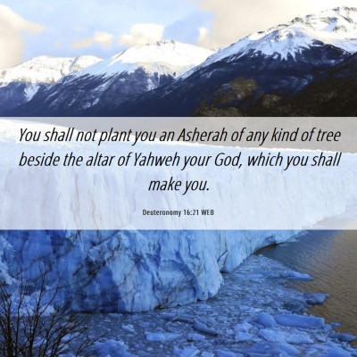 Picture 06 - Deuteronomy 16:21 WEB - You shall not plant you an Asherah of any kind of - Bible Verse Picture