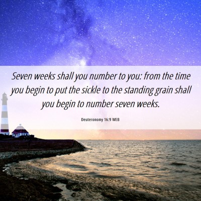 Picture 06 - Deuteronomy 16:9 WEB - Seven weeks shall you number to you: from the - Bible Verse Picture