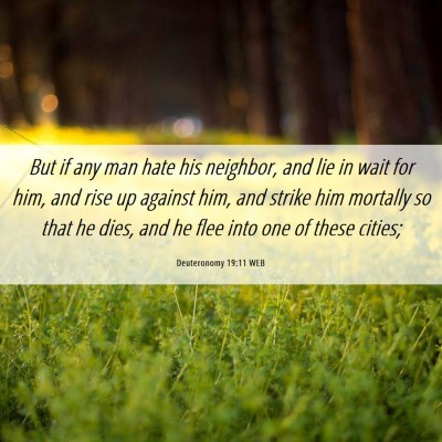 Picture 06 - Deuteronomy 19:11 WEB - But if any man hate his neighbor, and lie in wait - Bible Verse Picture