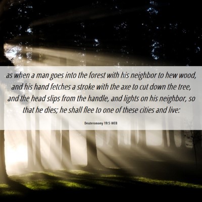 Picture 06 - Deuteronomy 19:5 WEB - as when a man goes into the forest with his - Bible Verse Picture