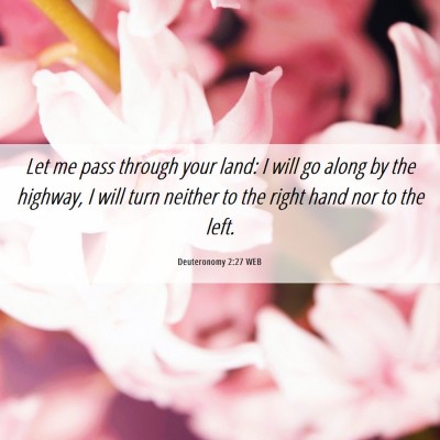 Picture 06 - Deuteronomy 2:27 WEB - Let me pass through your land: I will go along by - Bible Verse Picture