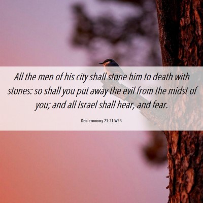 Picture 06 - Deuteronomy 21:21 WEB - All the men of his city shall stone him to death - Bible Verse Picture