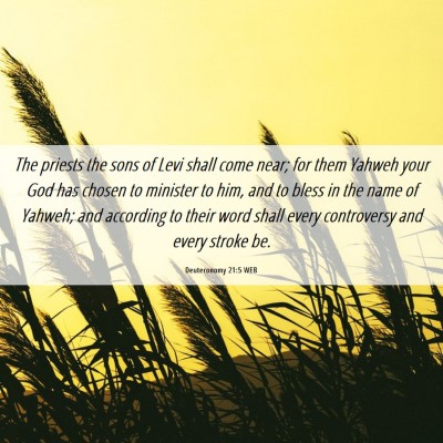 Picture 06 - Deuteronomy 21:5 WEB - The priests the sons of Levi shall come near; for - Bible Verse Picture