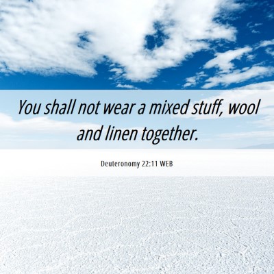 Picture 06 - Deuteronomy 22:11 WEB - You shall not wear a mixed stuff, wool and linen - Bible Verse Picture