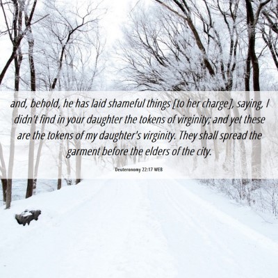 Picture 06 - Deuteronomy 22:17 WEB - and, behold, he has laid shameful things [to her - Bible Verse Picture