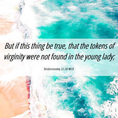 Picture 06 - Deuteronomy 22:20 WEB - But if this thing be true, that the tokens of - Bible Verse Picture