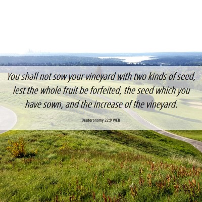 Picture 06 - Deuteronomy 22:9 WEB - You shall not sow your vineyard with two kinds of - Bible Verse Picture