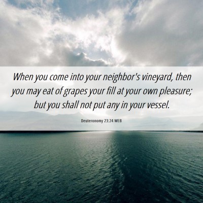 Picture 06 - Deuteronomy 23:24 WEB - When you come into your neighbor's vineyard, then - Bible Verse Picture