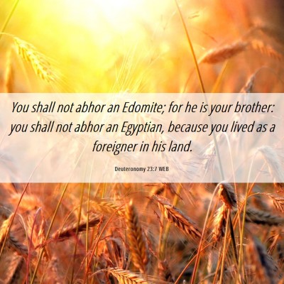 Picture 06 - Deuteronomy 23:7 WEB - You shall not abhor an Edomite; for he is your - Bible Verse Picture
