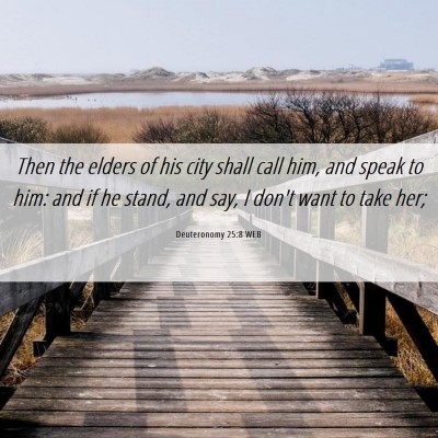 Picture 06 - Deuteronomy 25:8 WEB - Then the elders of his city shall call him, and - Bible Verse Picture