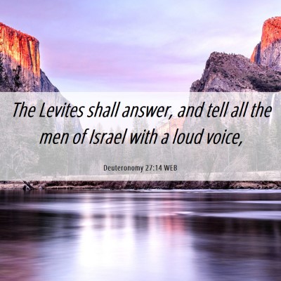 Picture 06 - Deuteronomy 27:14 WEB - The Levites shall answer, and tell all the men of - Bible Verse Picture
