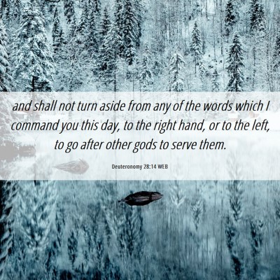 Picture 06 - Deuteronomy 28:14 WEB - and shall not turn aside from any of the words - Bible Verse Picture