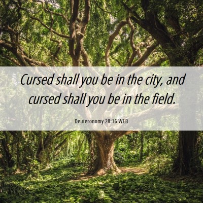 Picture 06 - Deuteronomy 28:16 WEB - Cursed shall you be in the city, and cursed shall - Bible Verse Picture
