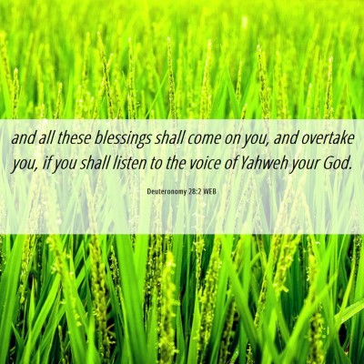 Picture 06 - Deuteronomy 28:2 WEB - and all these blessings shall come on you, and - Bible Verse Picture