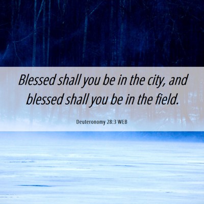 Picture 06 - Deuteronomy 28:3 WEB - Blessed shall you be in the city, and blessed - Bible Verse Picture