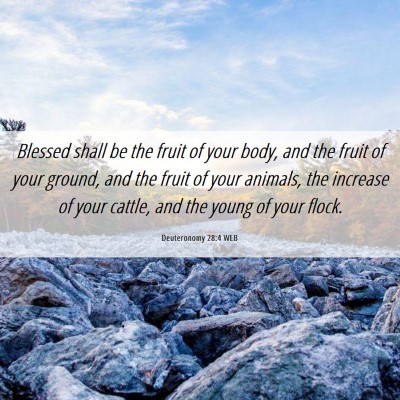 Picture 06 - Deuteronomy 28:4 WEB - Blessed shall be the fruit of your body, and the - Bible Verse Picture