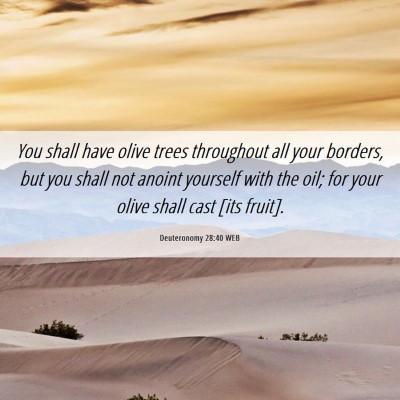 Picture 06 - Deuteronomy 28:40 WEB - You shall have olive trees throughout all your - Bible Verse Picture