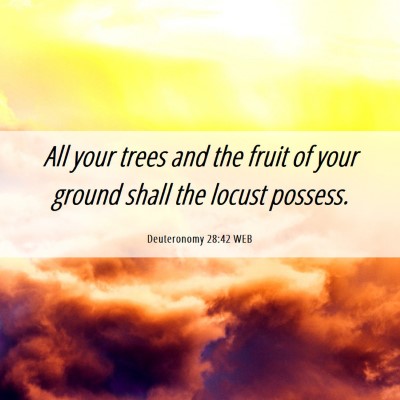 Picture 06 - Deuteronomy 28:42 WEB - All your trees and the fruit of your ground shall - Bible Verse Picture