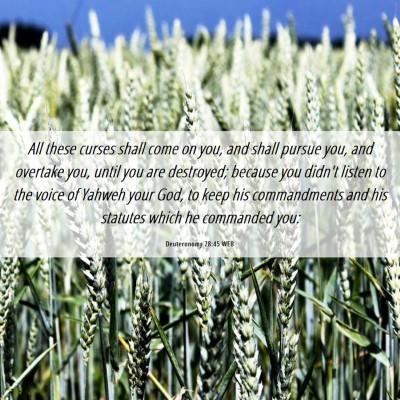 Picture 06 - Deuteronomy 28:45 WEB - All these curses shall come on you, and shall - Bible Verse Picture