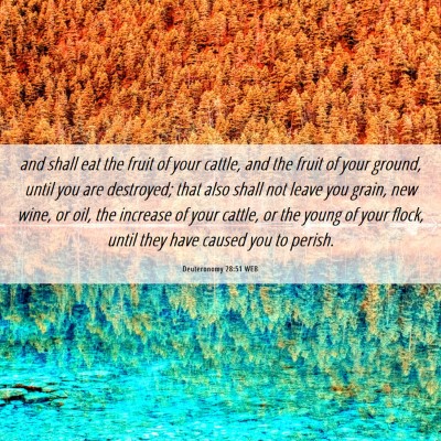 Picture 06 - Deuteronomy 28:51 WEB - and shall eat the fruit of your cattle, and the - Bible Verse Picture