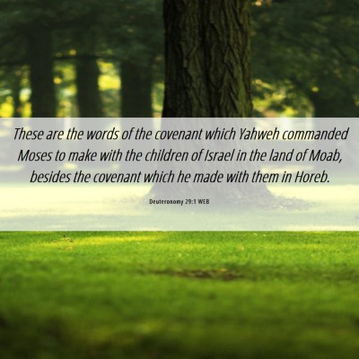 Picture 06 - Deuteronomy 29:1 WEB - These are the words of the covenant which Yahweh - Bible Verse Picture