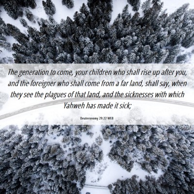 Picture 06 - Deuteronomy 29:22 WEB - The generation to come, your children who shall - Bible Verse Picture