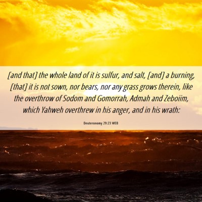 Picture 06 - Deuteronomy 29:23 WEB - [and that] the whole land of it is sulfur, and - Bible Verse Picture