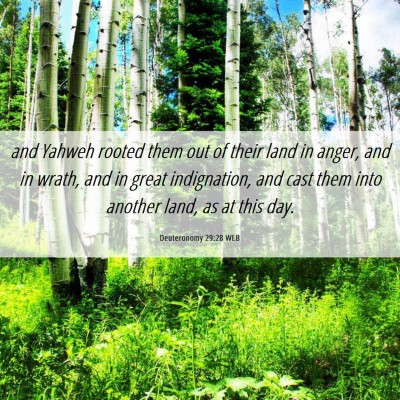 Picture 06 - Deuteronomy 29:28 WEB - and Yahweh rooted them out of their land in - Bible Verse Picture
