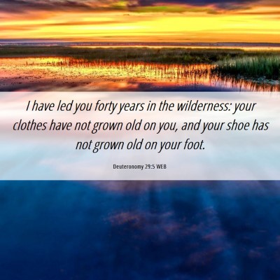 Picture 06 - Deuteronomy 29:5 WEB - I have led you forty years in the wilderness: - Bible Verse Picture