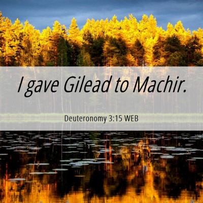 Picture 06 - Deuteronomy 3:15 WEB - I gave Gilead to - Bible Verse Picture